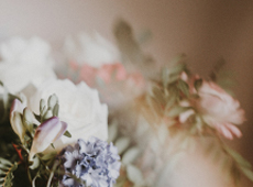 Transfert au crématorium et crémation