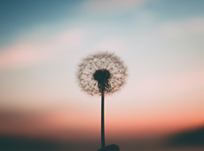 Dernier Regard au défunt